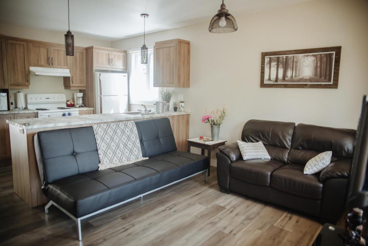 Chalet Mathis Saint-Raymond المظهر الخارجي الصورة