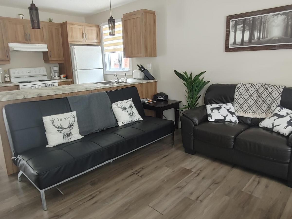 Chalet Mathis Saint-Raymond المظهر الخارجي الصورة